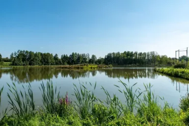 Etang - Terves