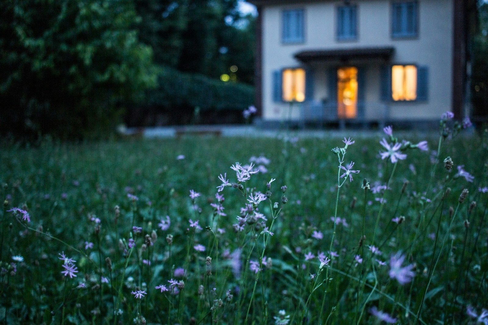 Vue sur une maison depuis le jardin. La maison est dans la pénombre, en arrière plan.