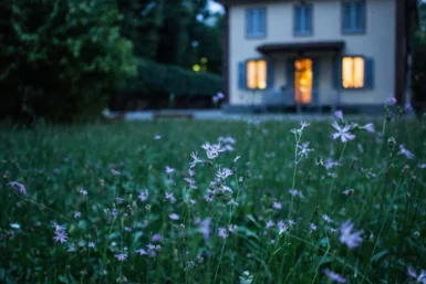Vue sur une maison depuis le jardin. La maison est dans la pénombre, en arrière plan.