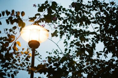 lampadaire allumé avec des branches