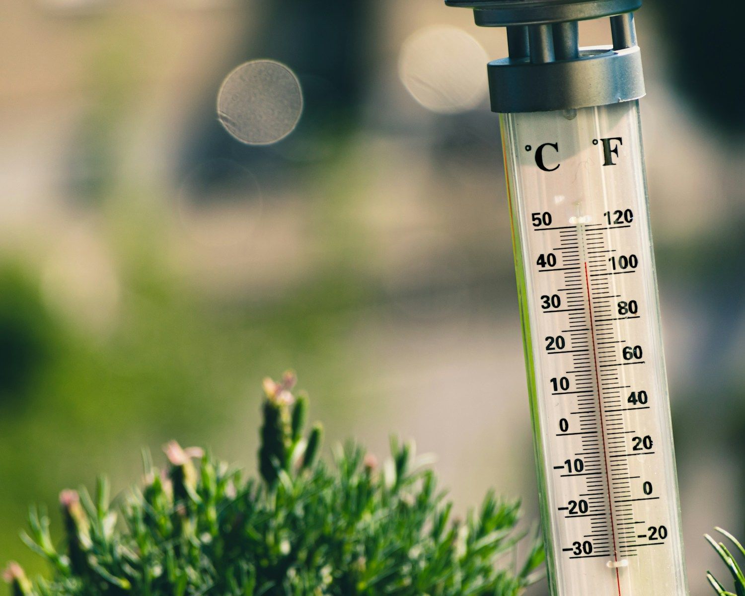 thermomètre planté dans l'herbe