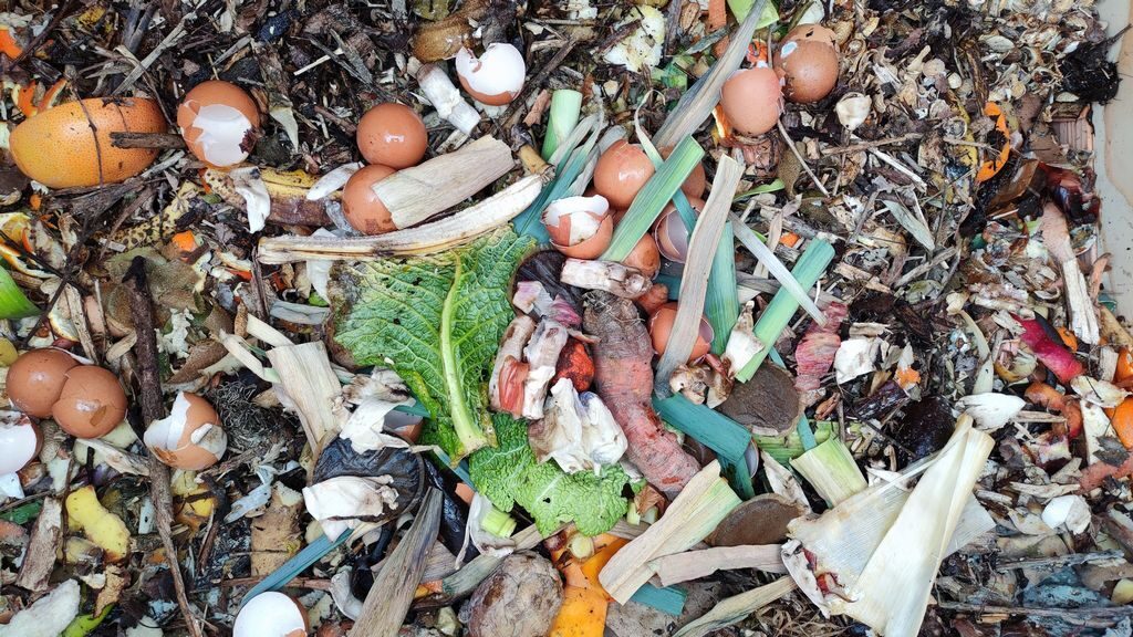 Compost