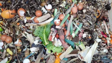 Compost