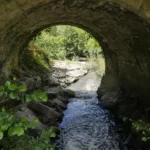 Photo du Dolo dans la Coulée Verte