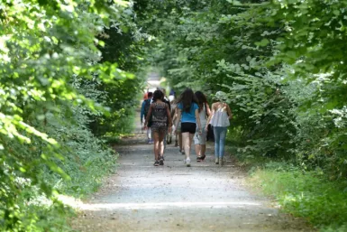 Randonneurs sur la Voie Verte