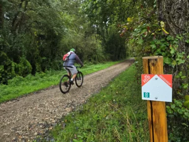 Cycliste sur la Vélo Bressuiraise