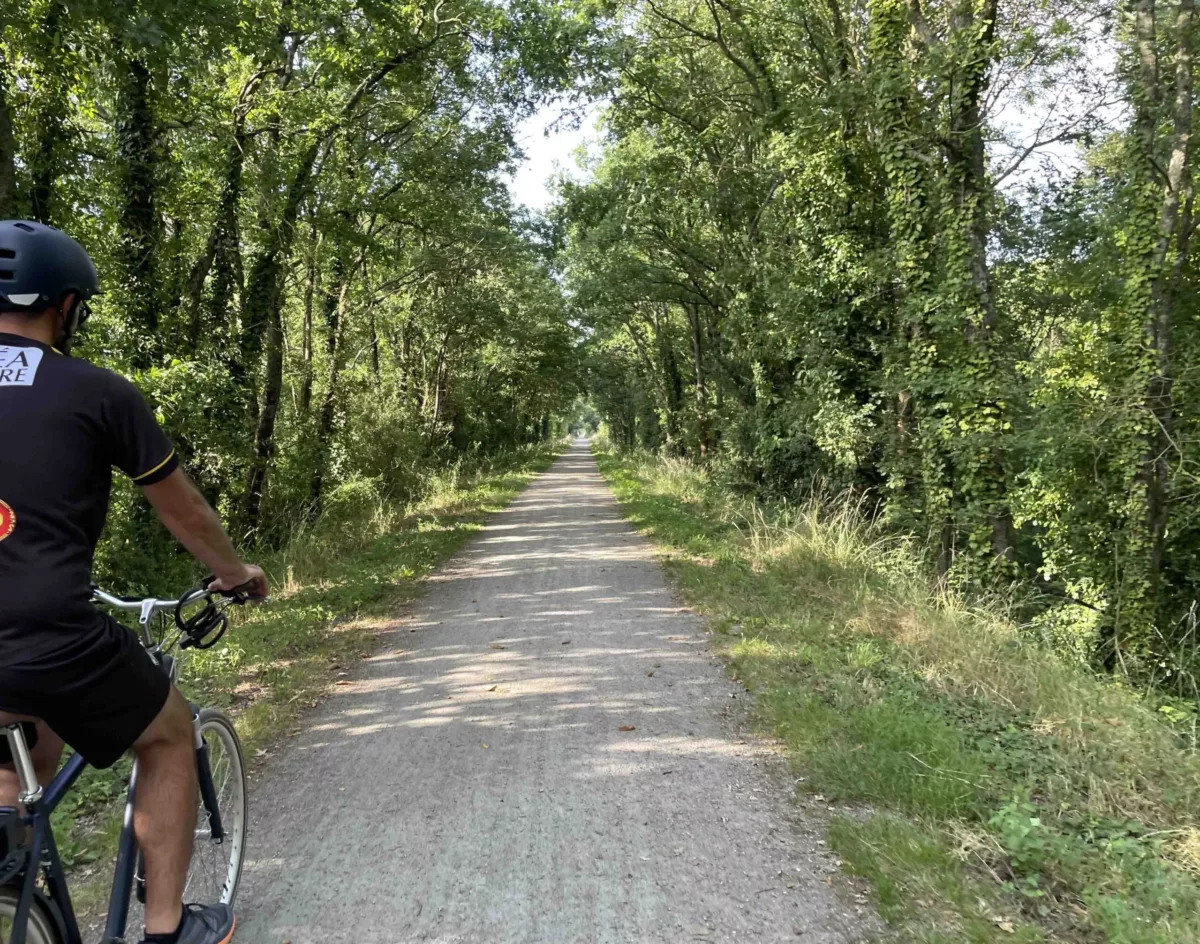 Cyclotouriste sur la Voie Verte