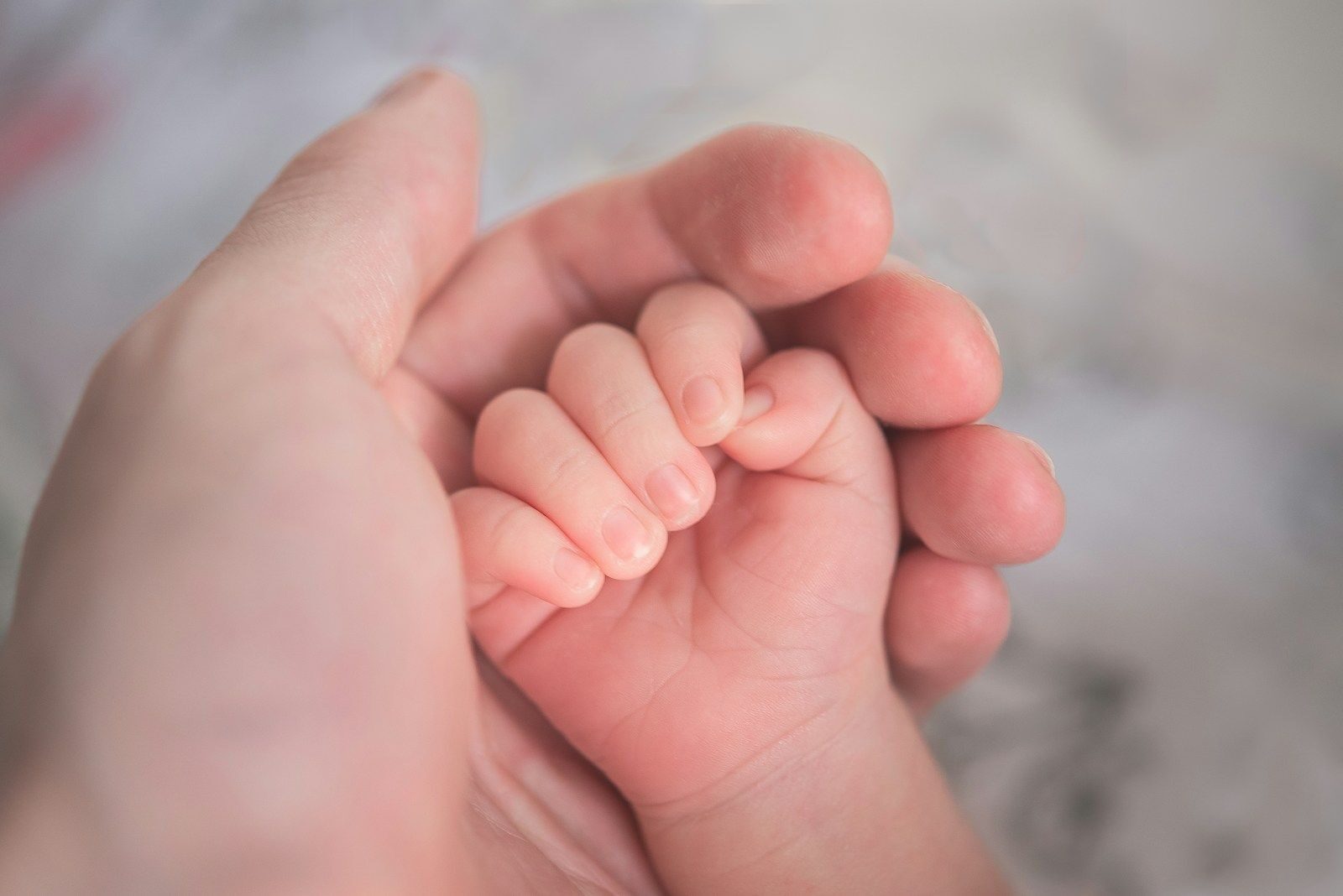 Main d'un bébé dans la main d'un adulte