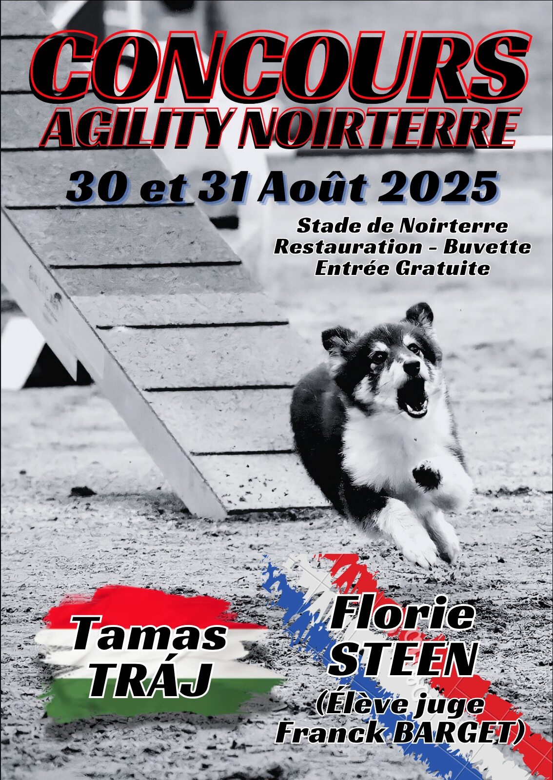 Affiche concours agility Noirterre