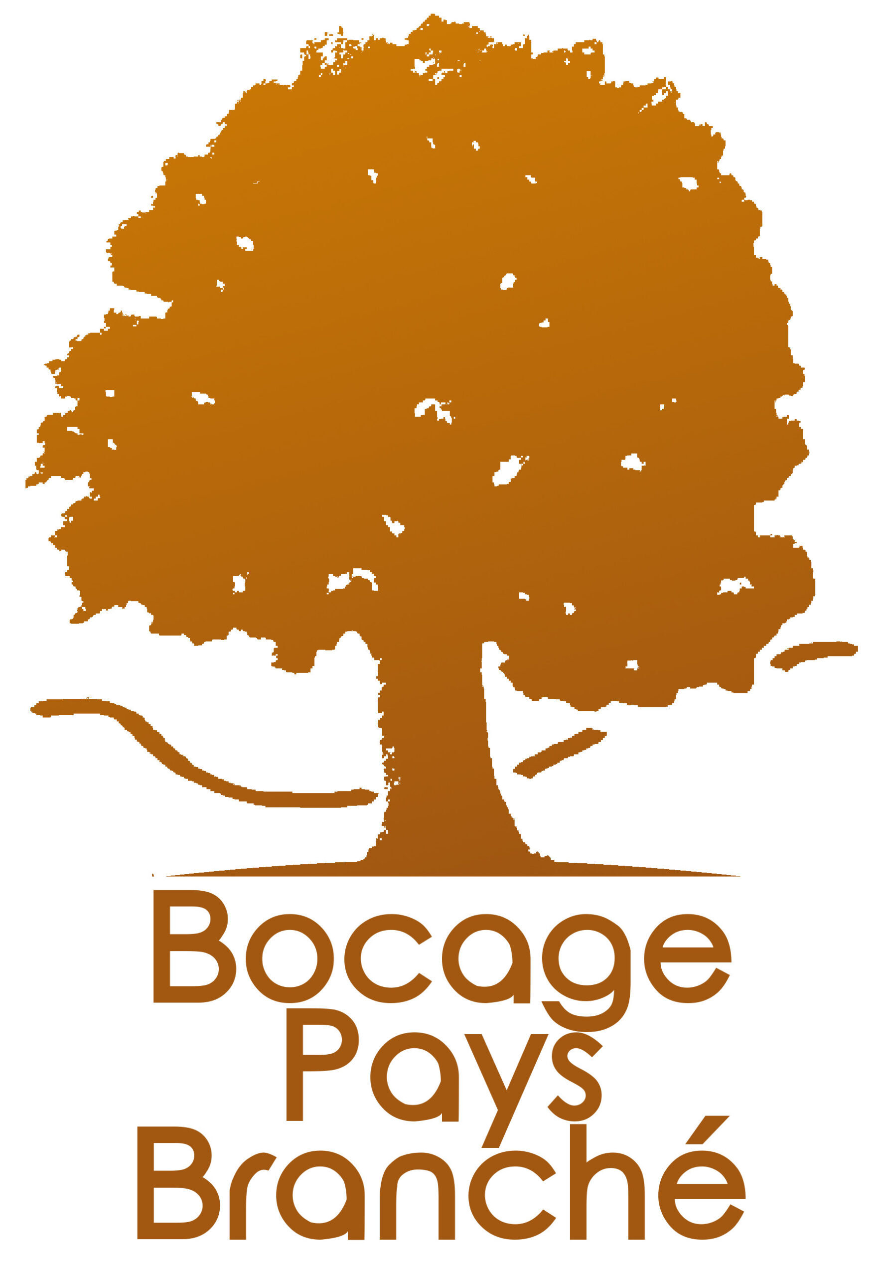 Logo Bocage Pays Branché