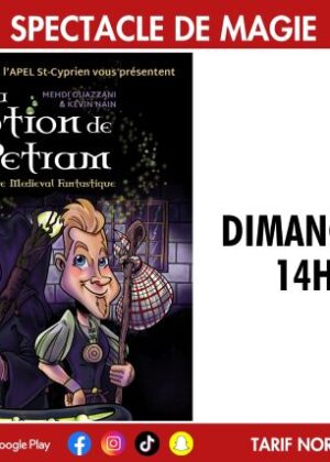 Affiche spectacle de magie