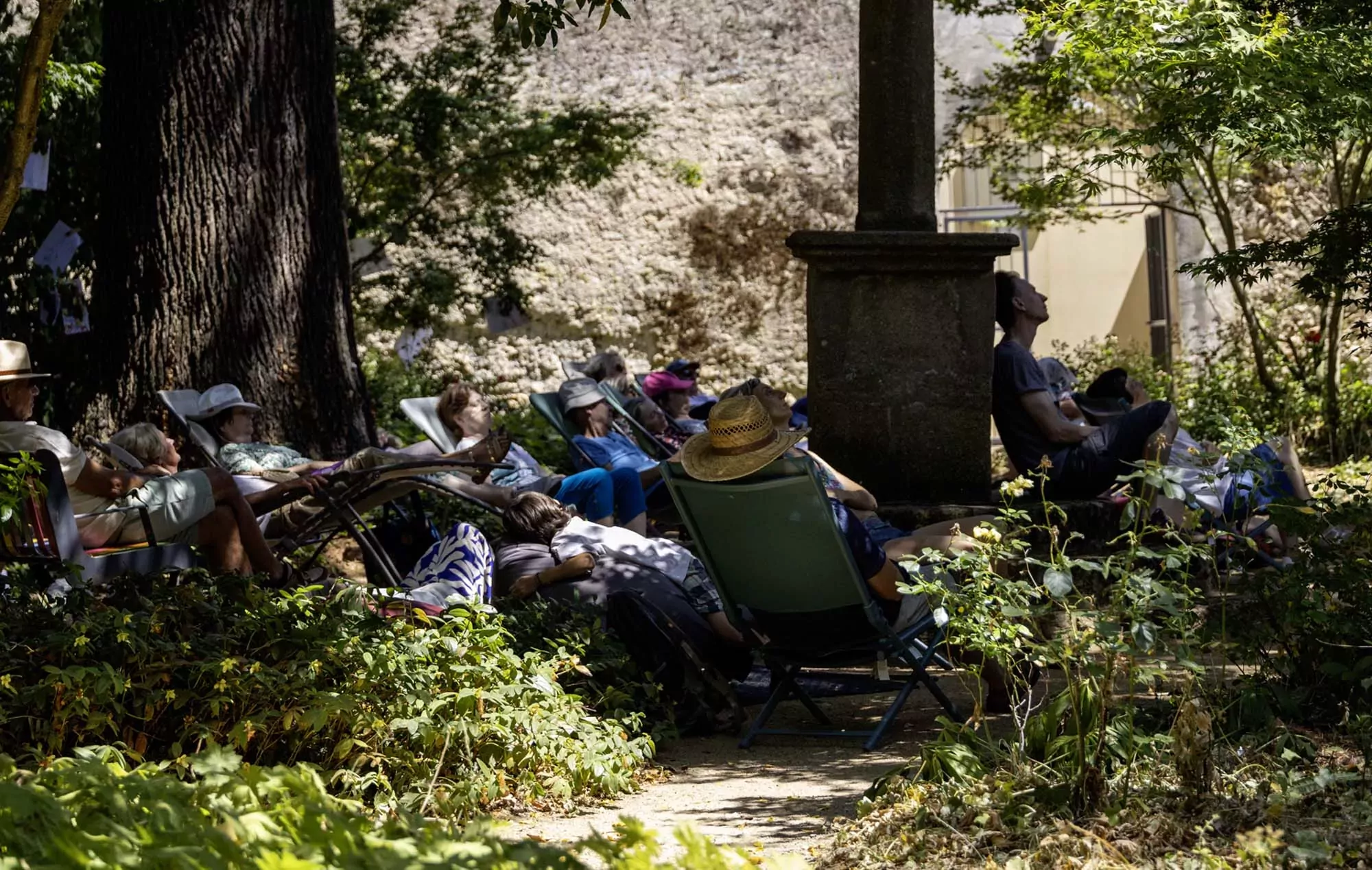 FAR (été 2025) - Sieste musicale © M.P. Rouger