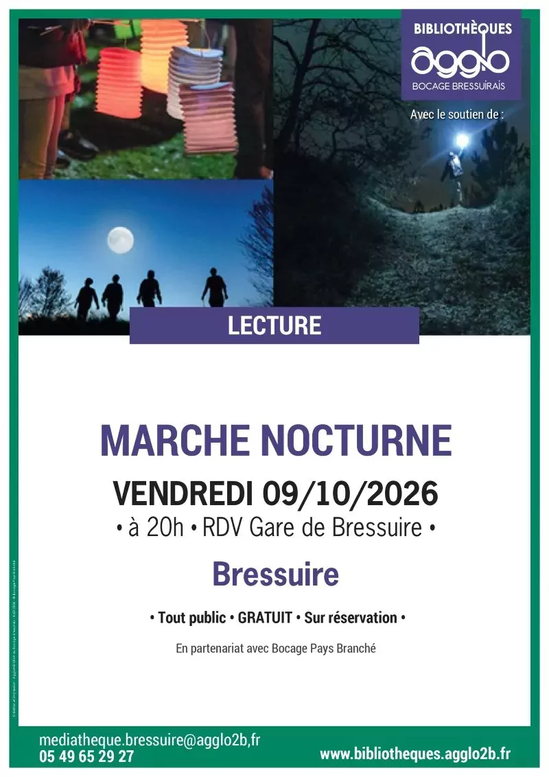 Affiche marche nocturne