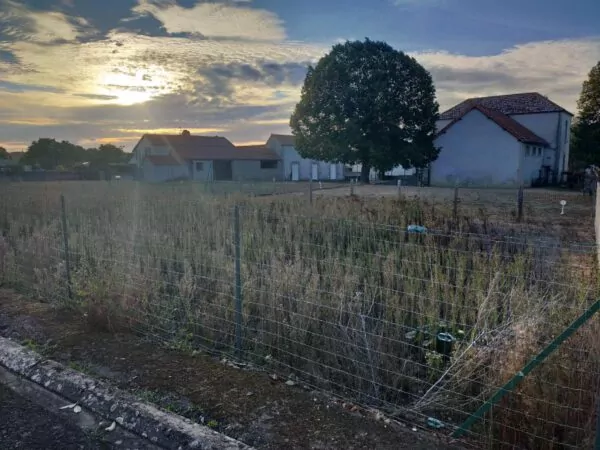 Parcelles - Saint-Sauveur - 2026