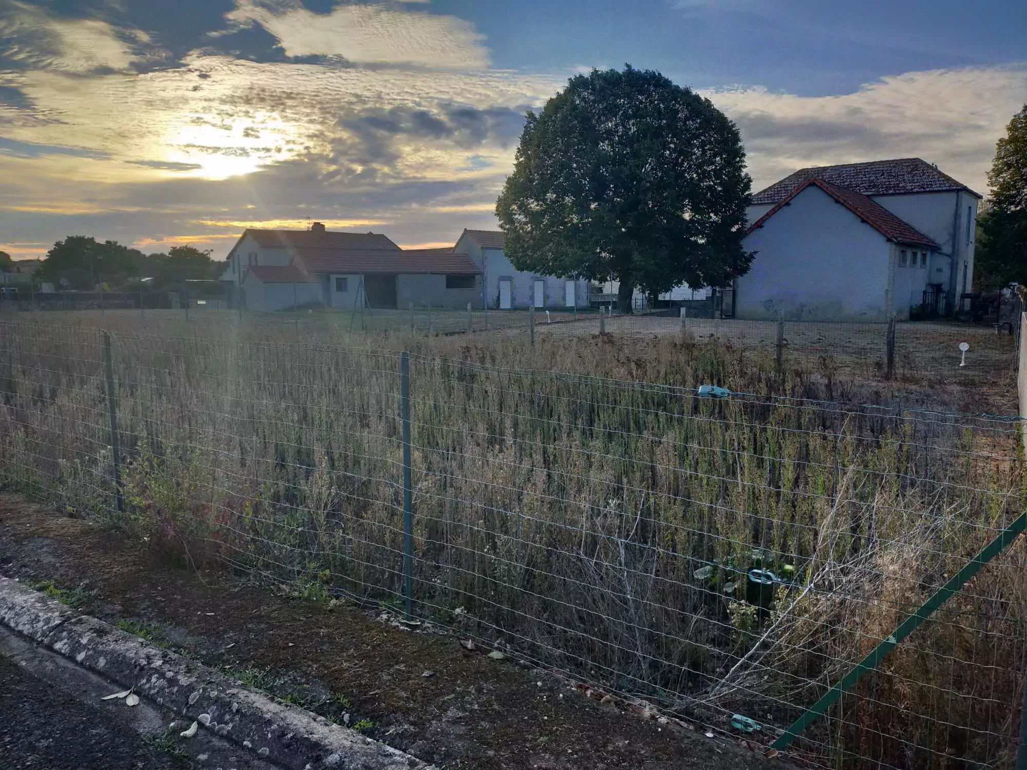 Parcelles - Saint-Sauveur - 2026