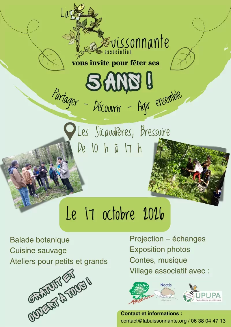 Affiche 5 ans de la buissonnante